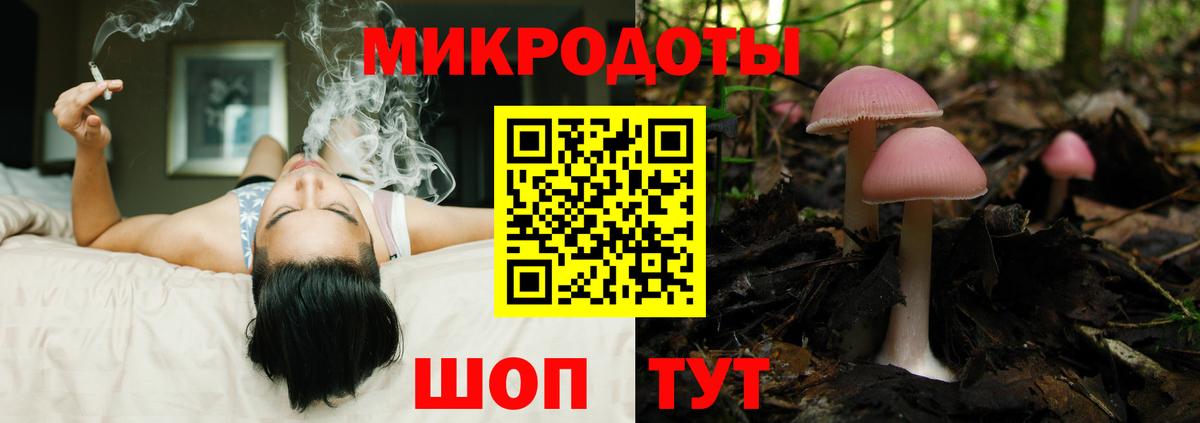 Псилоцибиновые грибы ЛСД Горячий Ключ